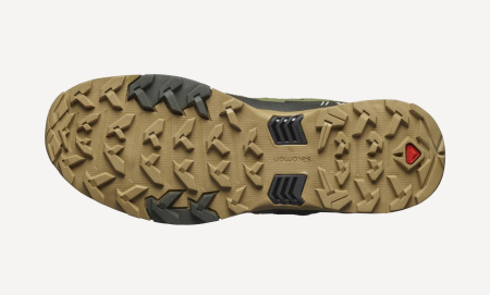 Ботинки X ULTRA 4 MID GTX (RU 44 UK 10.5 USm 11 СМ 28.5; deep lichen green/peat/kelp)